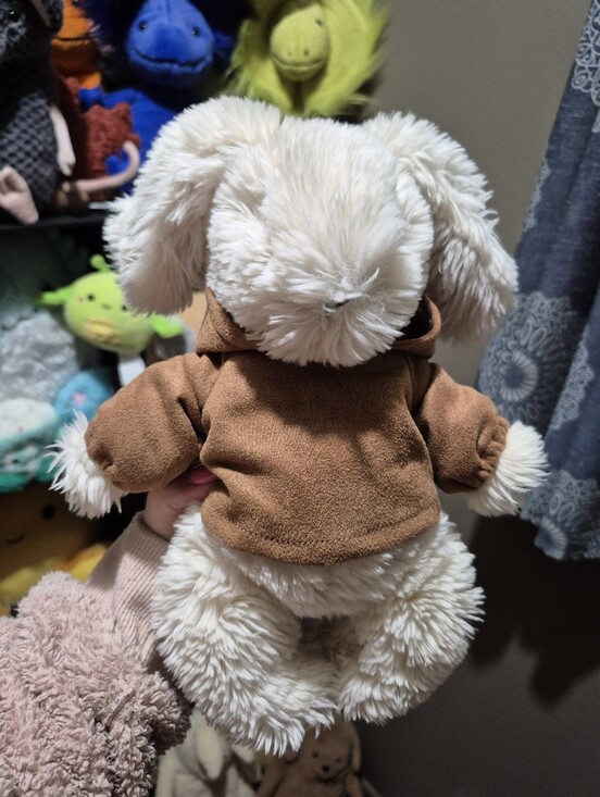 Jellycat Other - Jellycat Bunny With Hoodie